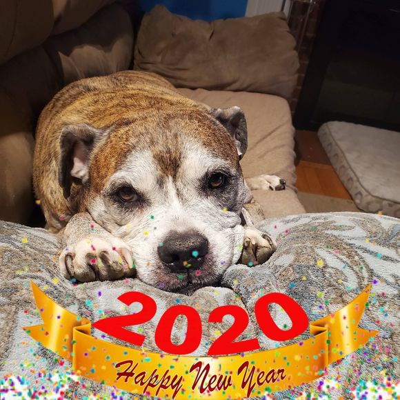 Meet your Posher, Christine - Picture 1 of 1